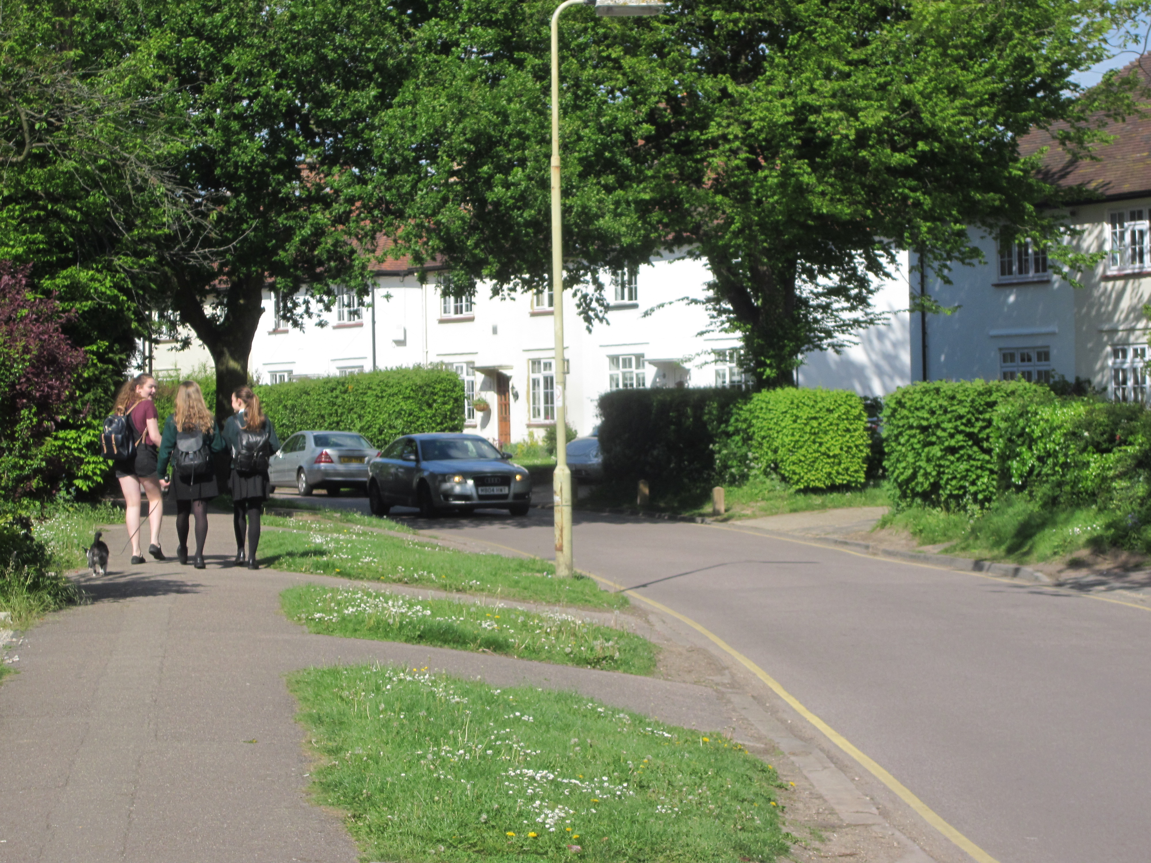 Walkable streets