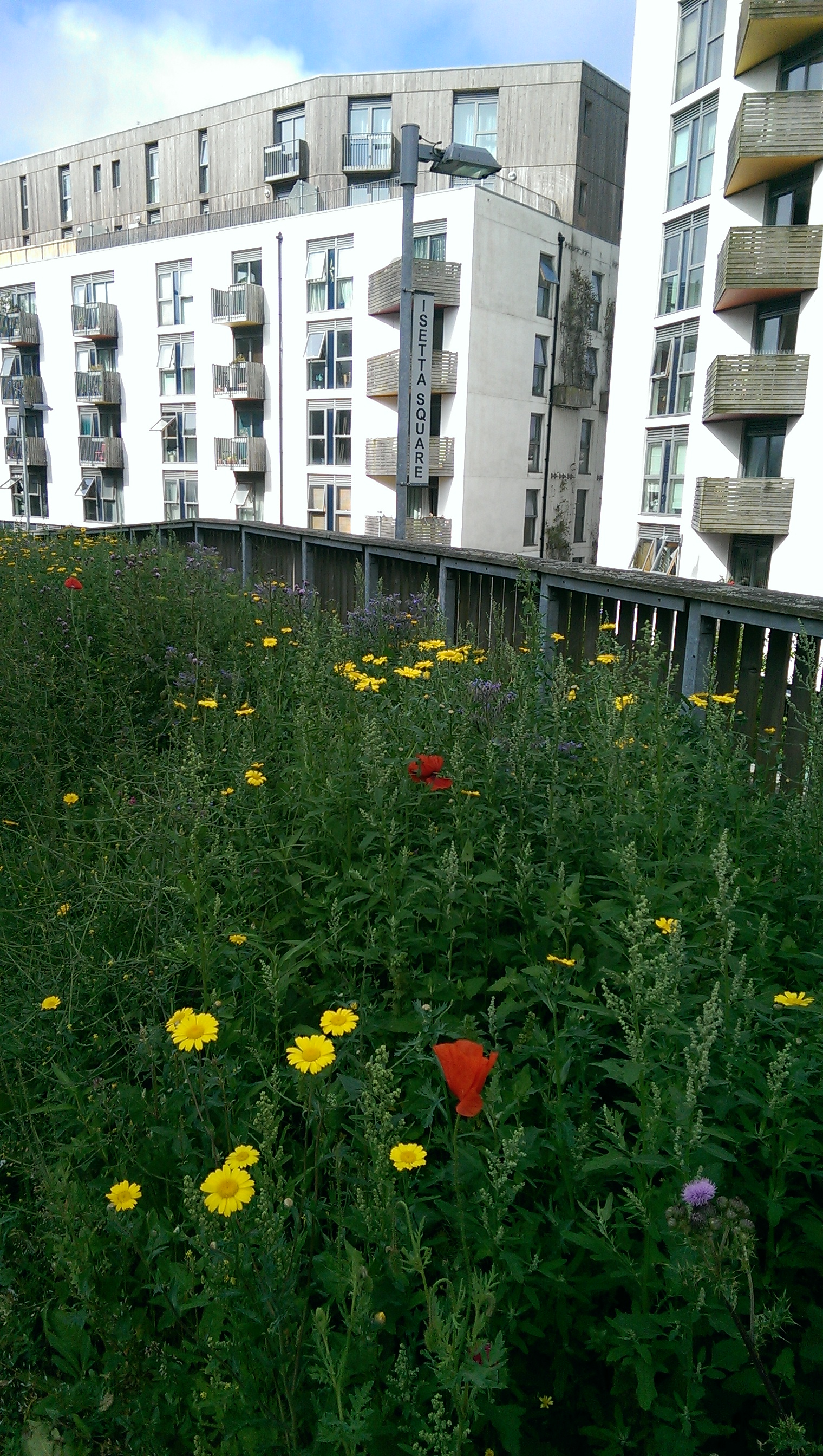 Part of the greenway