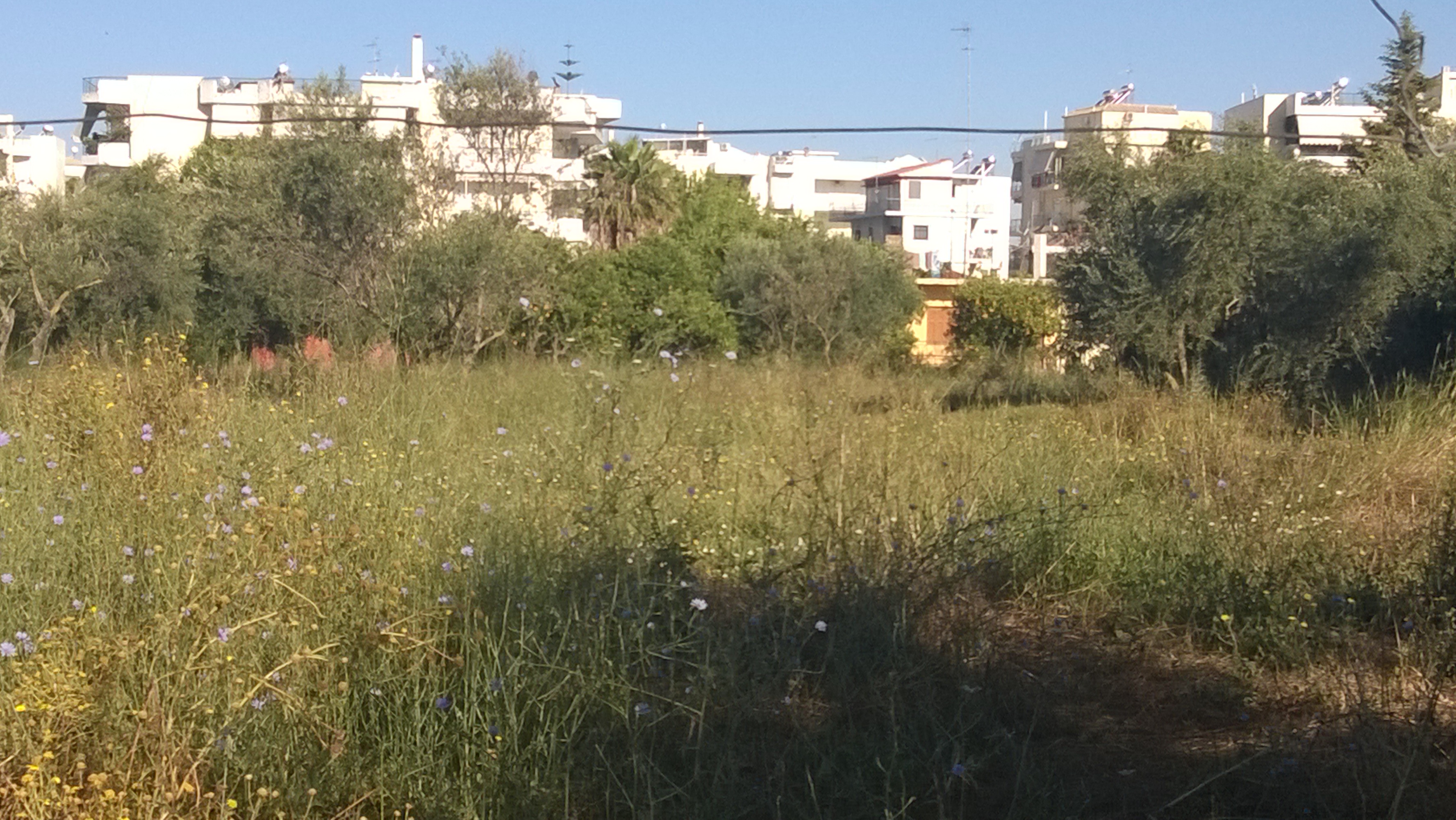 Land for development