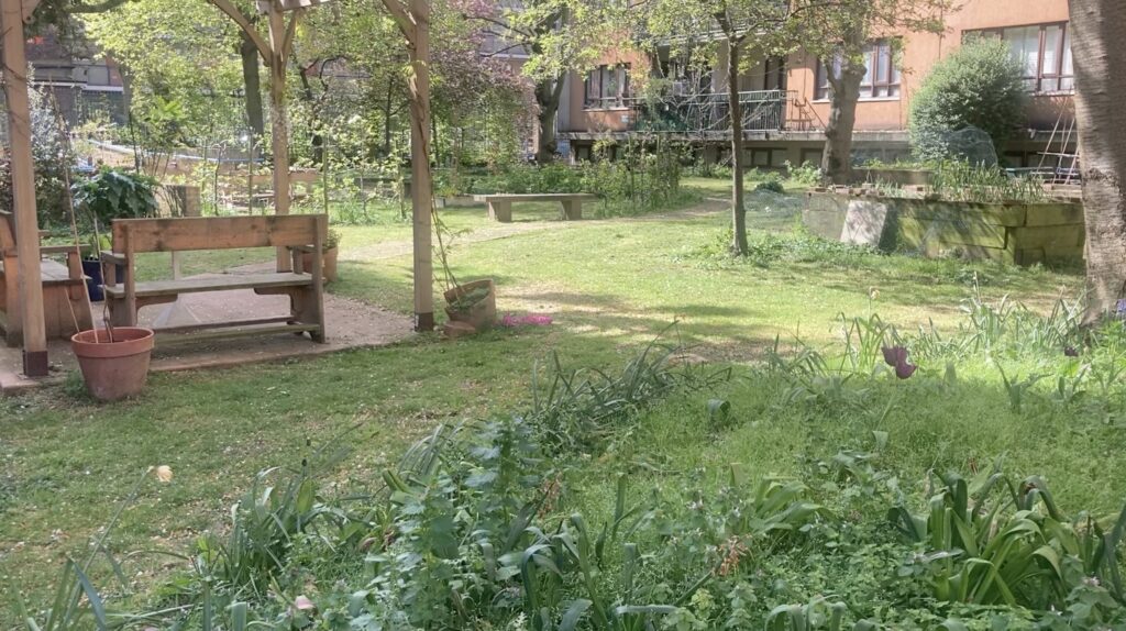 Garden run by Age Concern Camden in Cromer Street